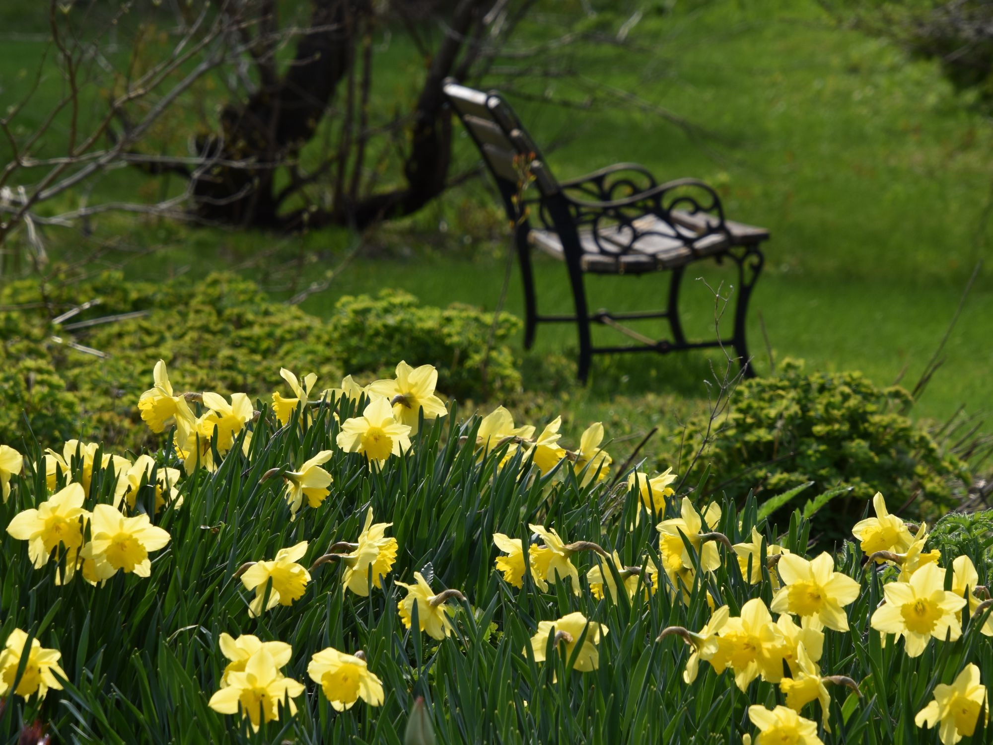 Grand jardin privé proche de Marseille